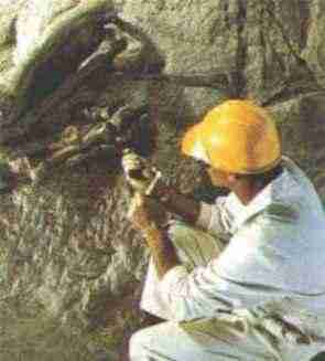 Il lavoro del paleontologo oggi
