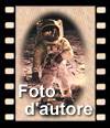 Foto d' Autore