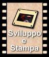 Sviluppo e Stampa
