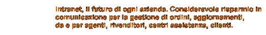 Intranet, il futuro di ogni azienda. Considerevole risparmio in
comunicazione per la gestione di ordini, aggiornamenti,
da e per agenti, rivenditori, centri assistenza, clienti.