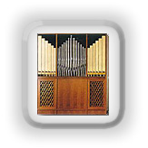 The Organ