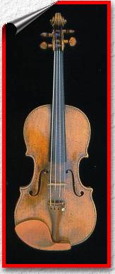 violin